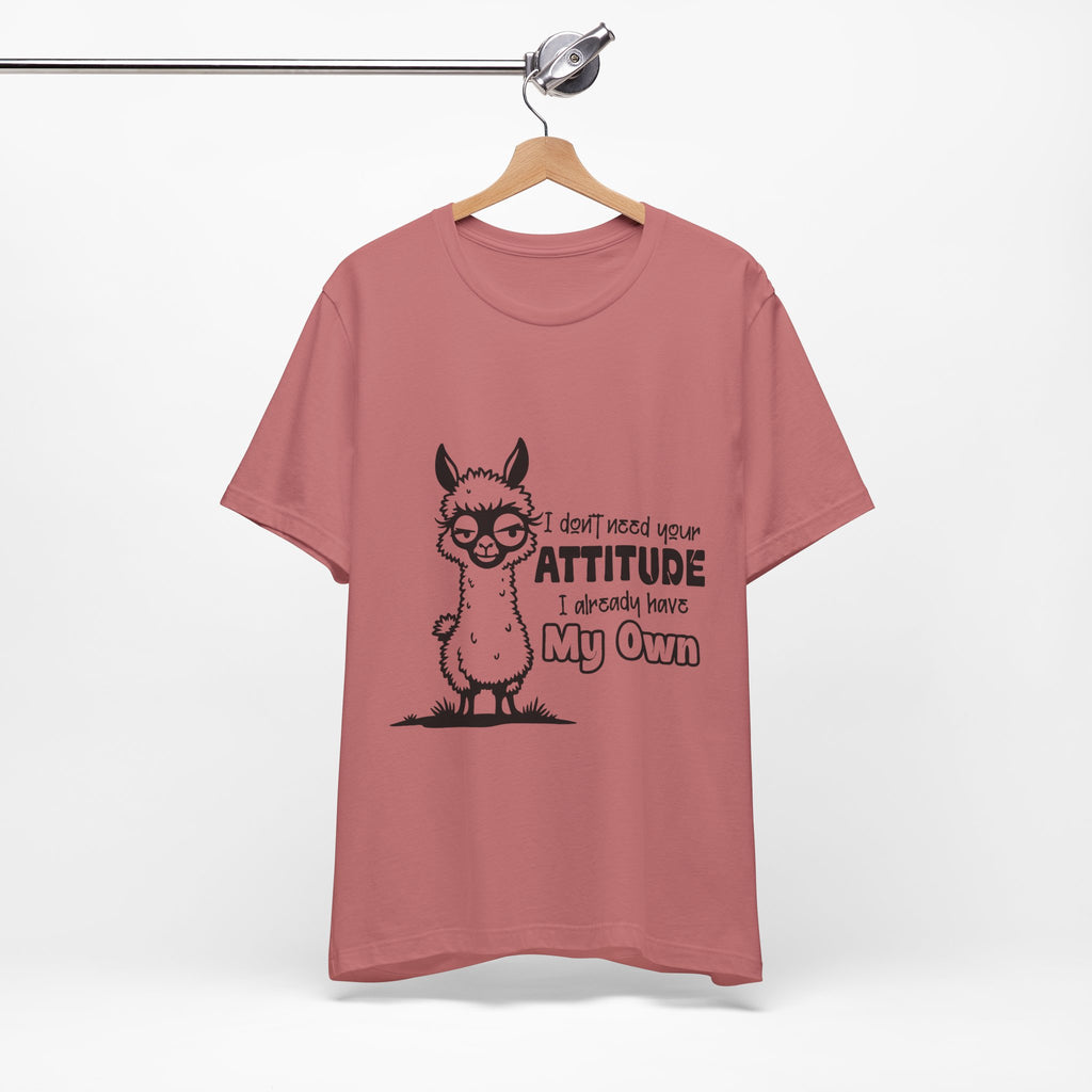 I Don't Need Your Attitude T-Shirt