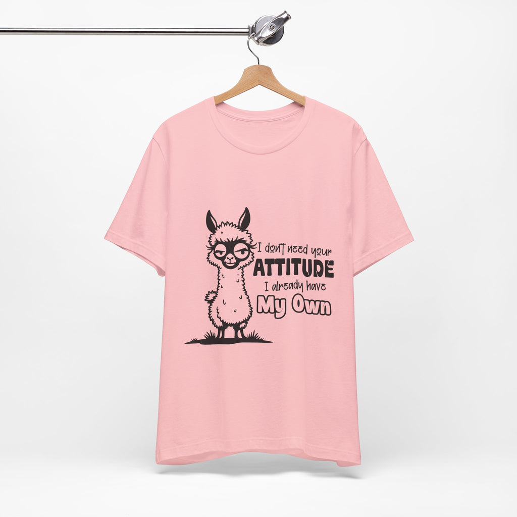 I Don't Need Your Attitude T-Shirt
