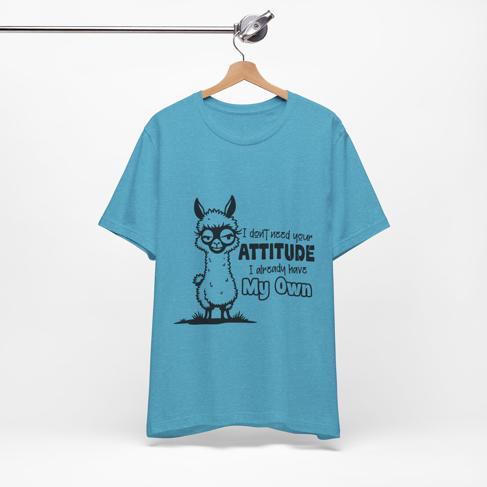 I Don't Need Your Attitude T-Shirt