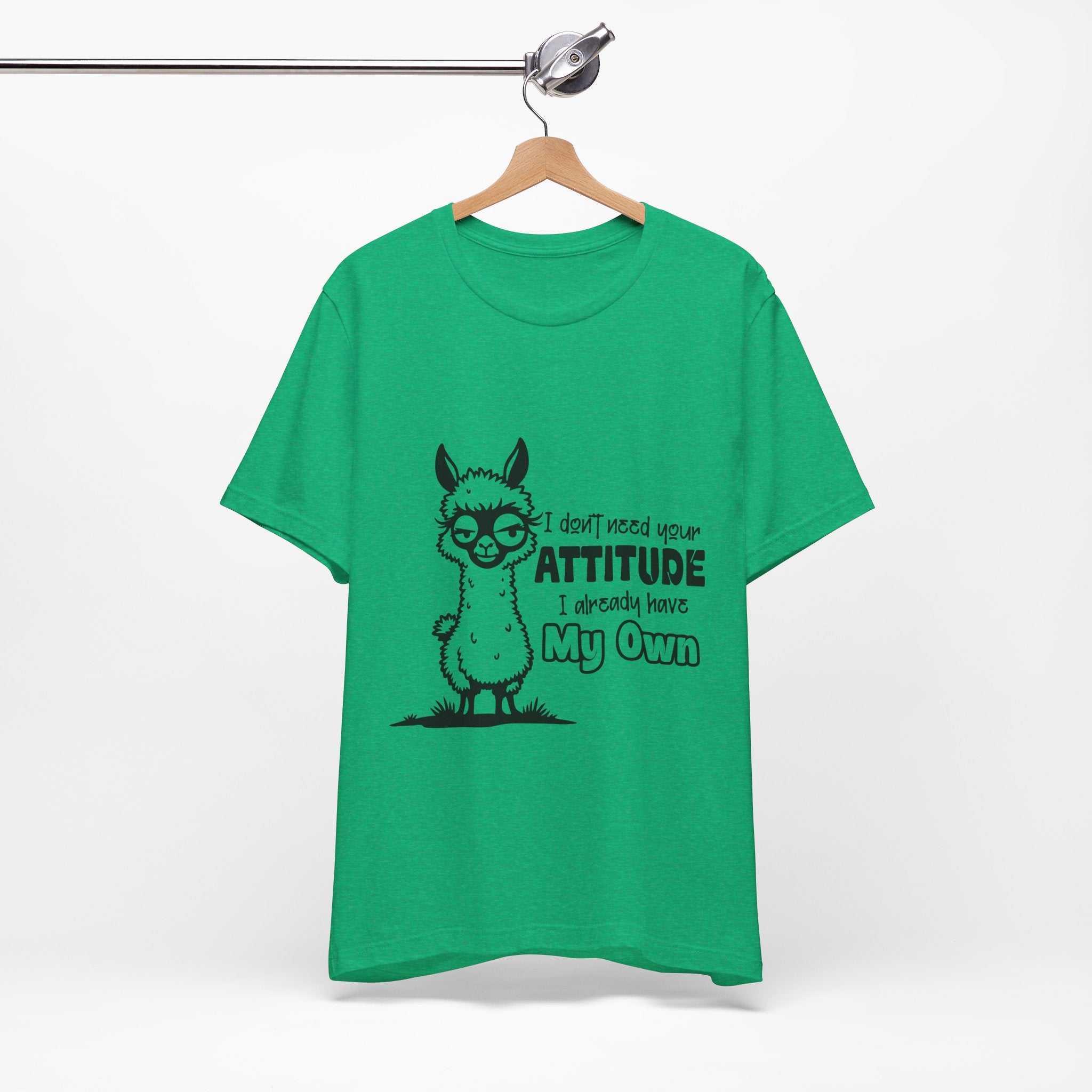 I Don't Need Your Attitude T-Shirt