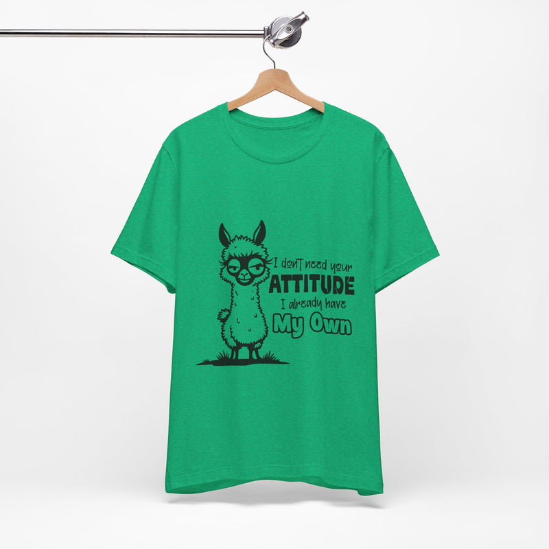 I Don't Need Your Attitude T-Shirt