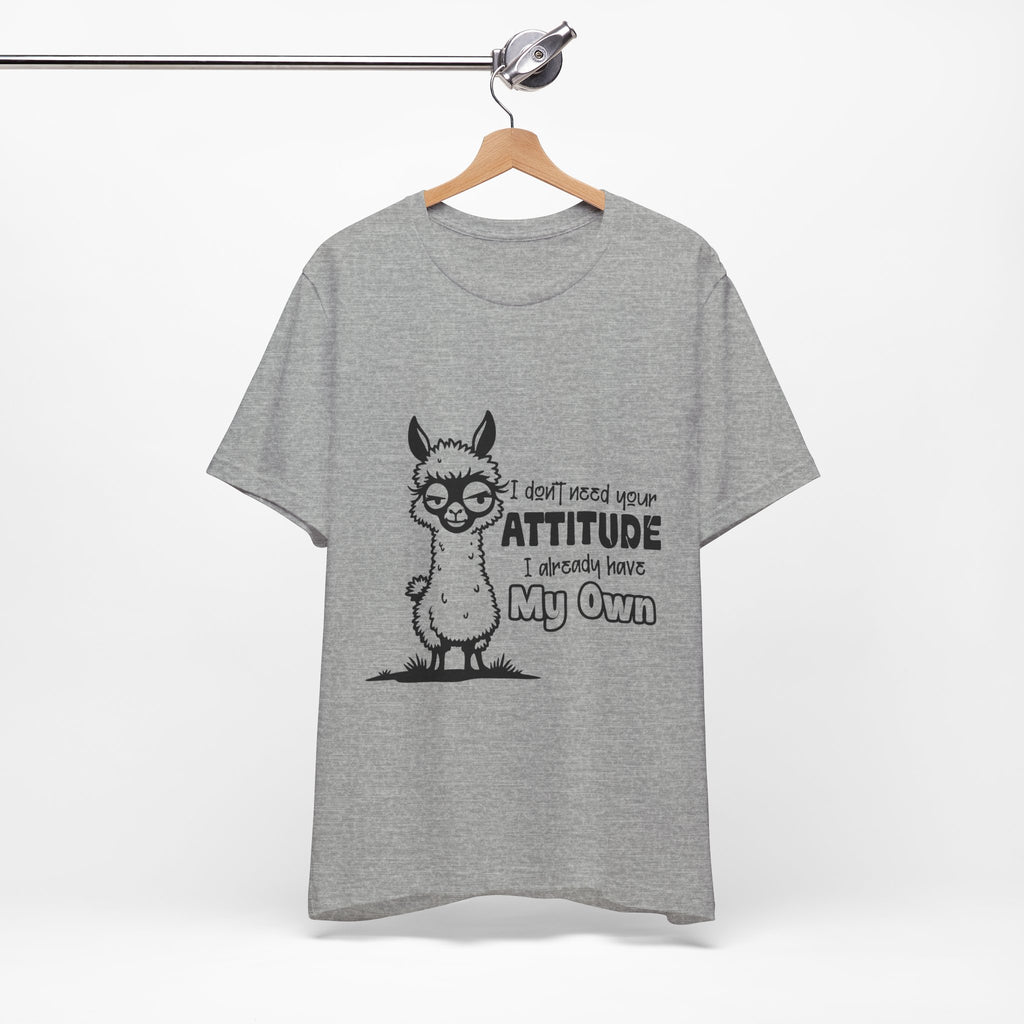 I Don't Need Your Attitude T-Shirt