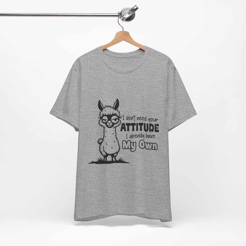 I Don't Need Your Attitude T-Shirt